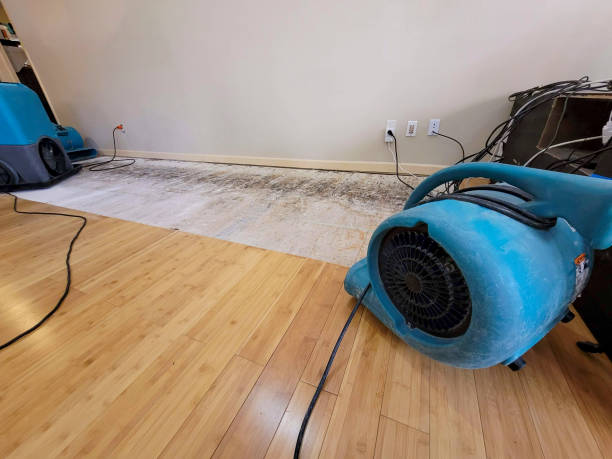 Professional Structural Drying technician working in Saxon, SC